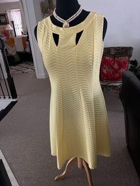 Sleeveless Yellow Textured Fit & Flare Dress by Enfocus Studio
